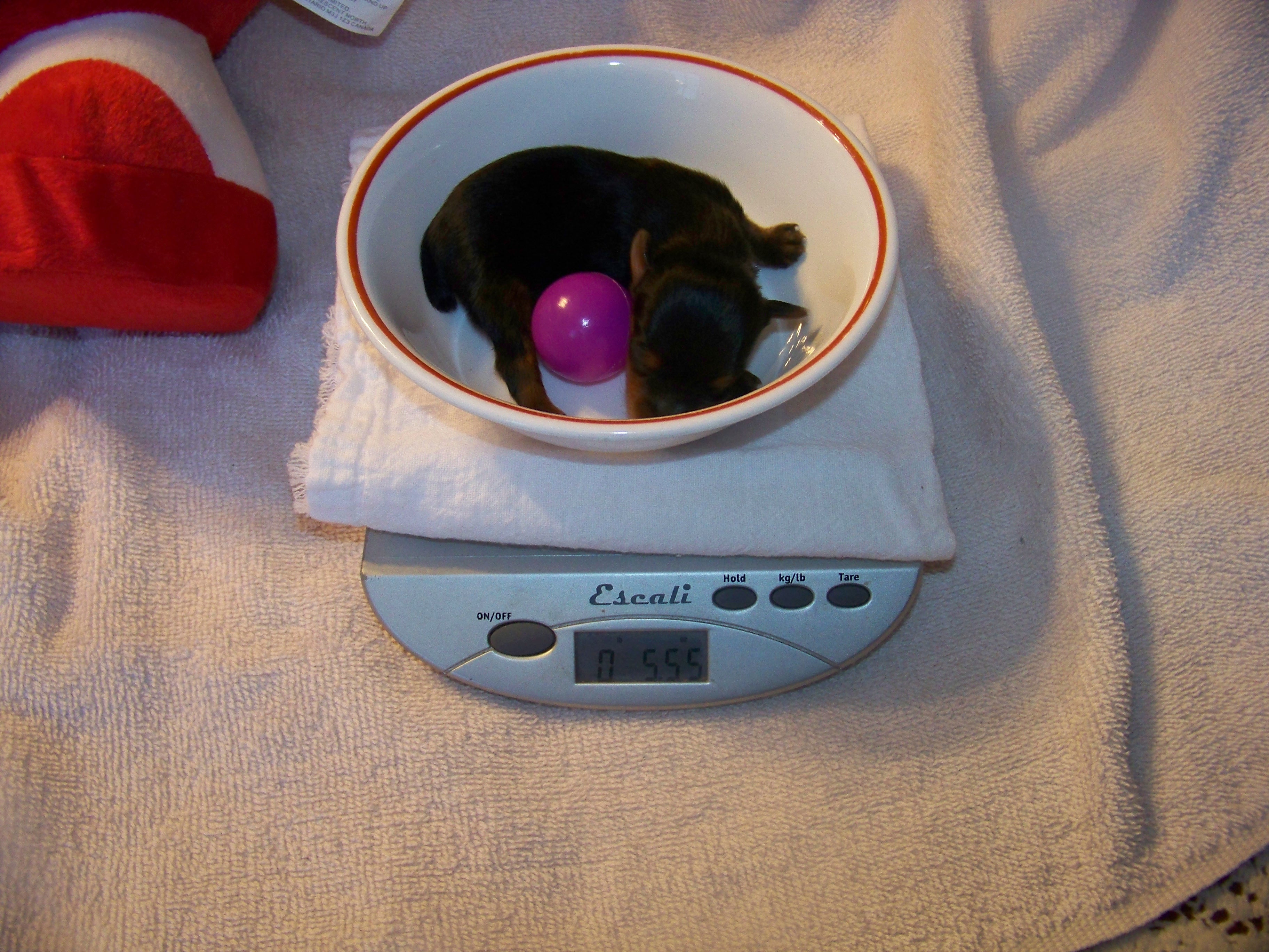 20110109_38.jpg