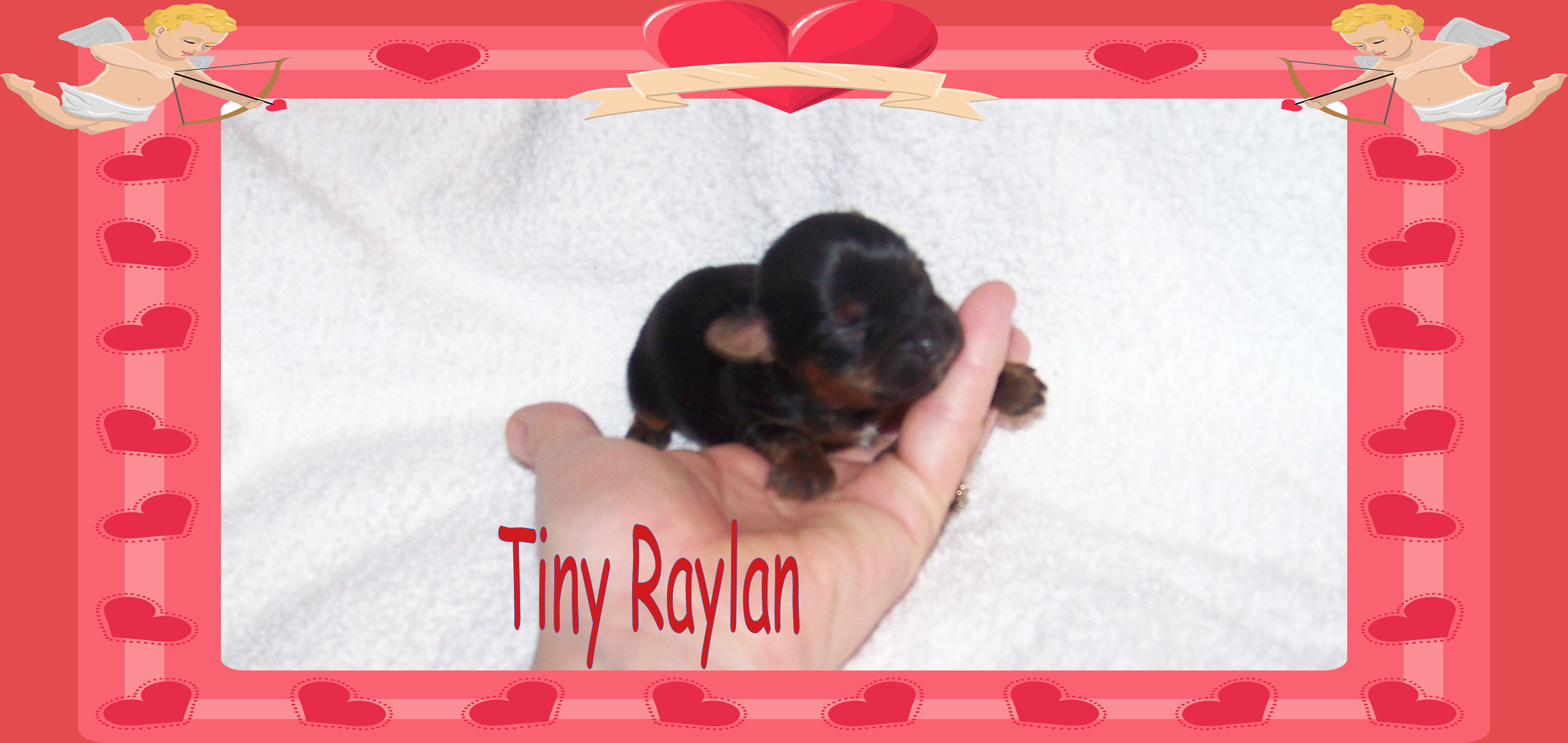 raylan.jpg